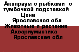 Аквариум с рыбками, с тумбочкой-подставкой › Цена ­ 6 000 - Ярославская обл. Животные и растения » Аквариумистика   . Ярославская обл.